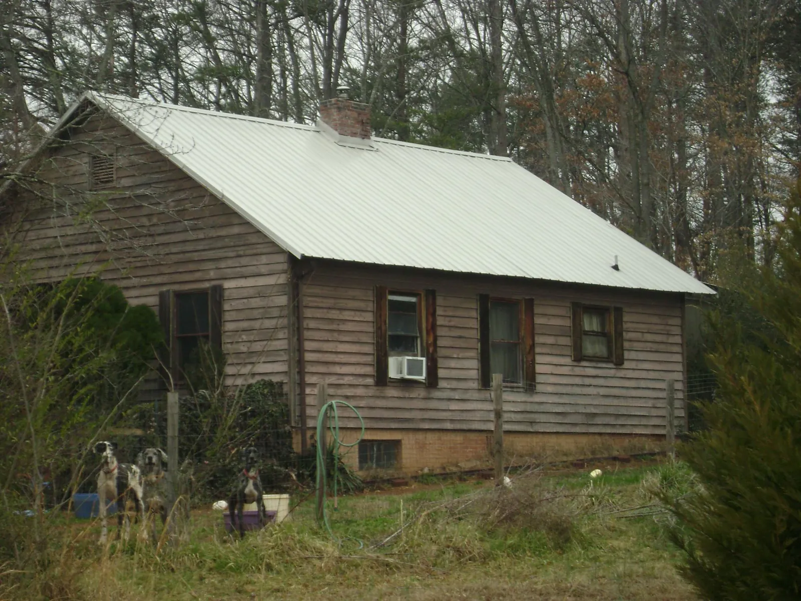 White metal roof on an old wood sided farmhouse, from a Asphalt Shingle Roof Repair job in Plano